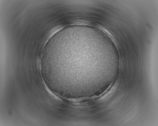 X0000111471433200907271302