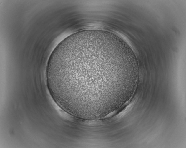 X0000111471434200907271302