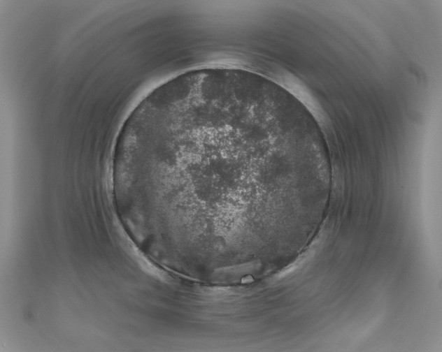 X0000111471436200907271302