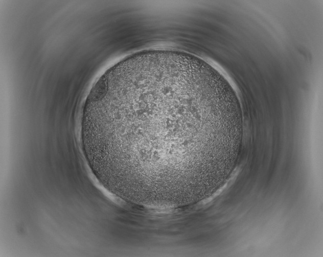 X0000111471437200907271302