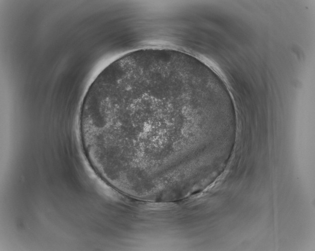 X0000111471440200907271302