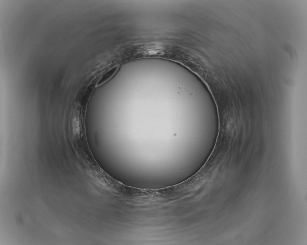 X0000111471442200907271302