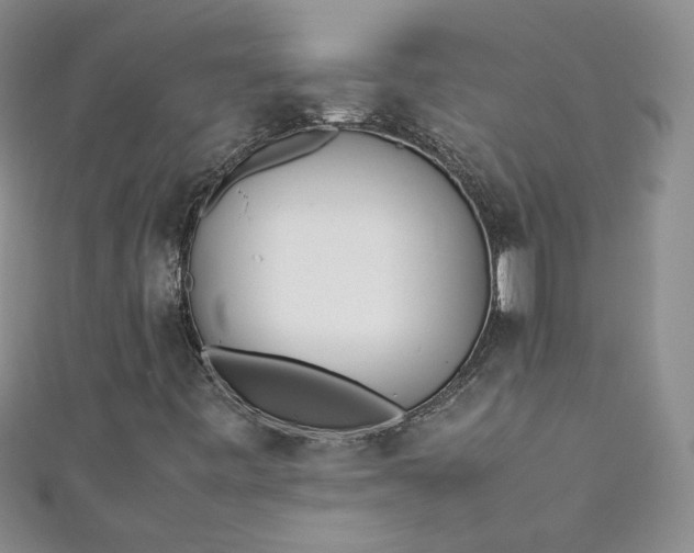 X0000111471443200907271302