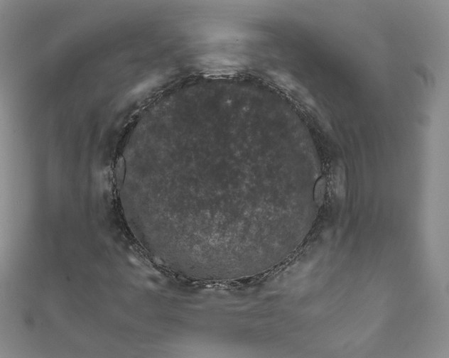 X0000111471445200907271302