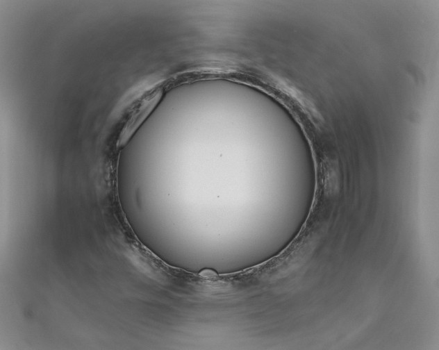 X0000111471448200907271302