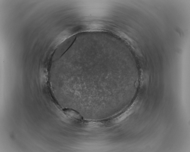 X0000111471449200907271302