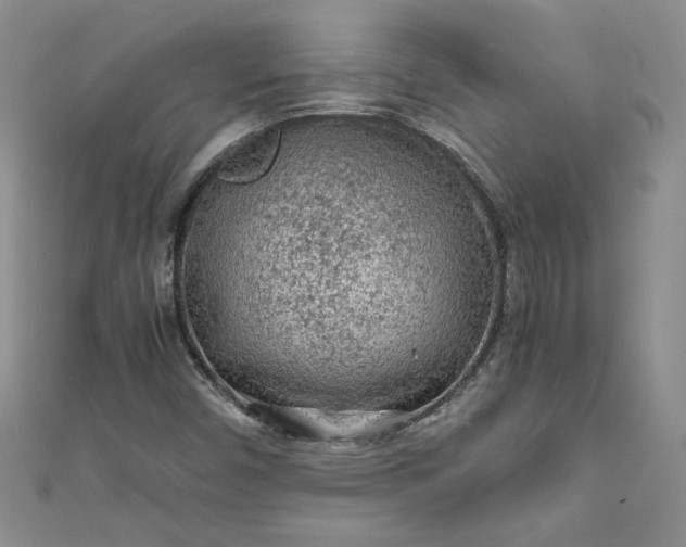 X0000111471450200907271302