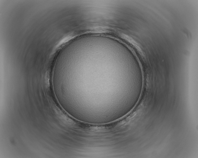 X0000111471451200907271302