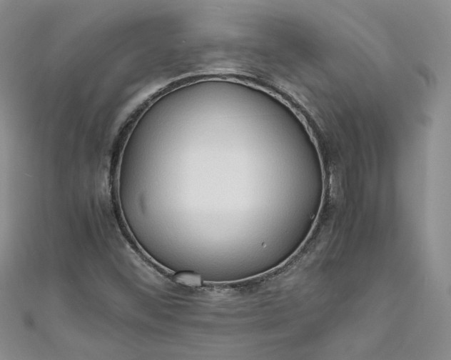 X0000111471452200907271302