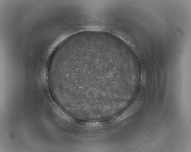 X0000111471454200907271302