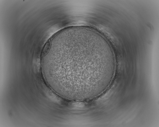 X0000111471457200907271302