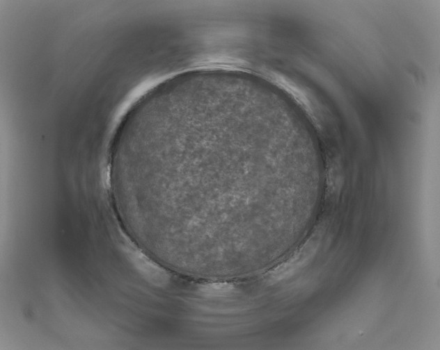 X0000111471462200907271302