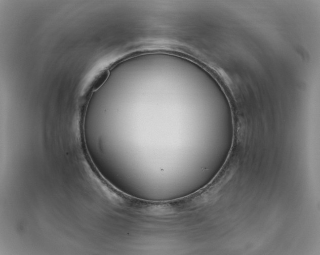 X0000111471464200907271302