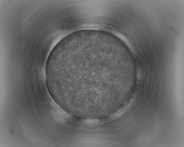 X0000111471466200907271302