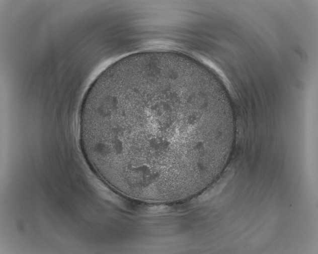 X0000111471467200907271301