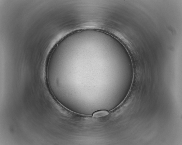 X0000111471469200907271301