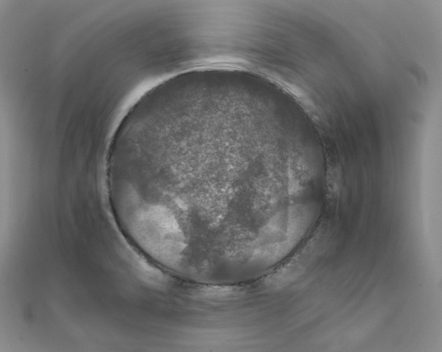 X0000111471470200907271301