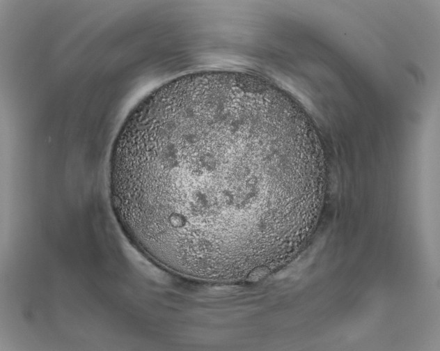 X0000111471471200907271301