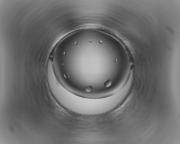 X0000111471473200907271301