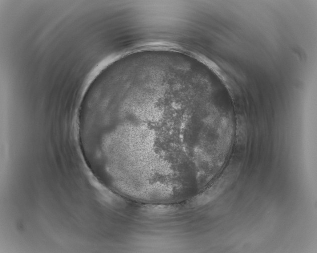 X0000111471474200907271301