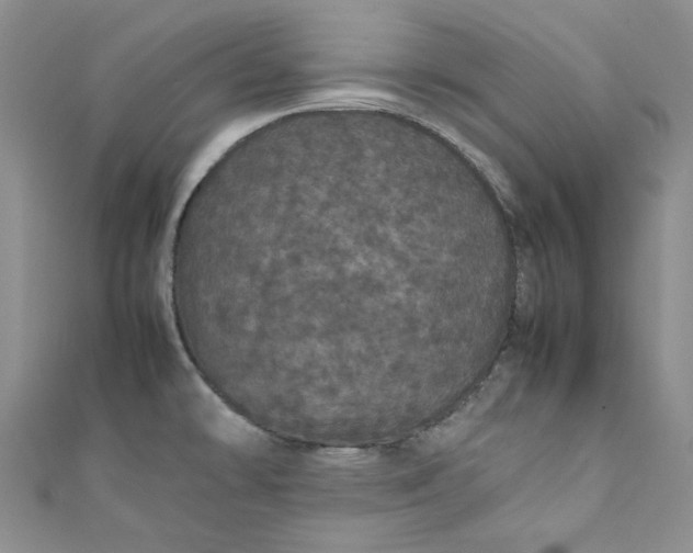 X0000111471478200907271301