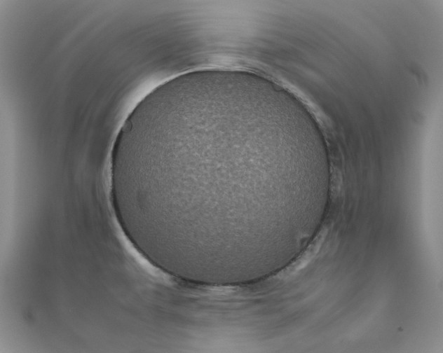 X0000111471479200907271301