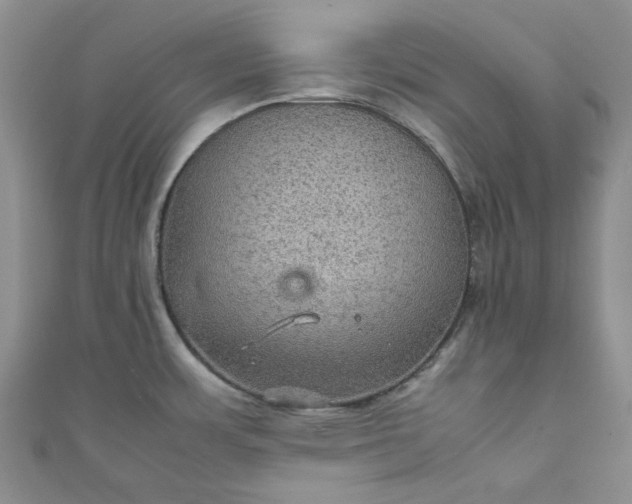 X0000111471483200907271301