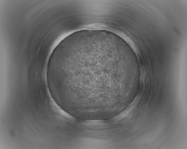 X0000111471486200907271301