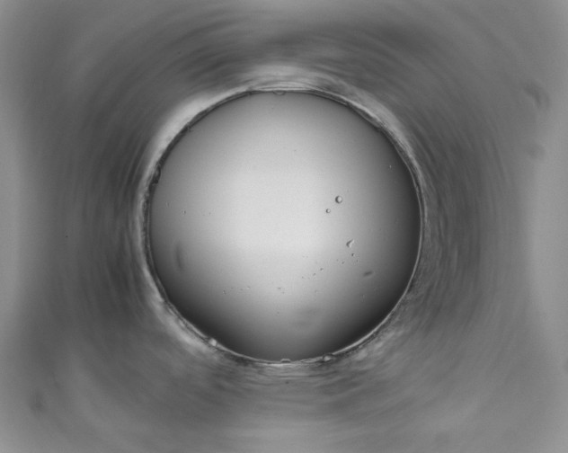 X0000111471488200907271301