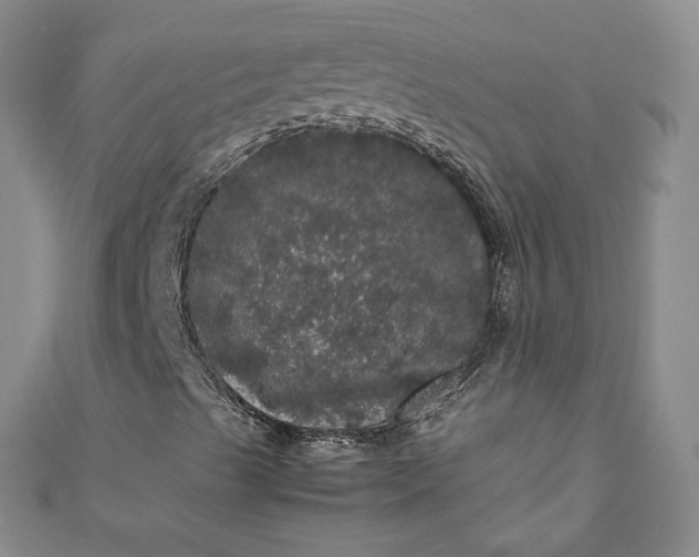 X0000111471489200907271300