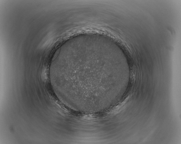 X0000111471490200907271300