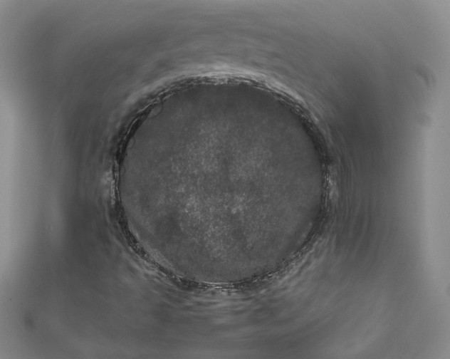 X0000111471493200907271300