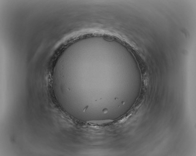 X0000111471495200907271301