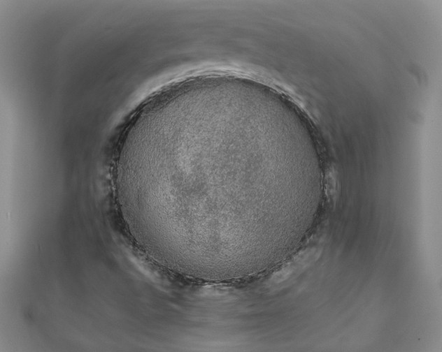 X0000111471496200907271301