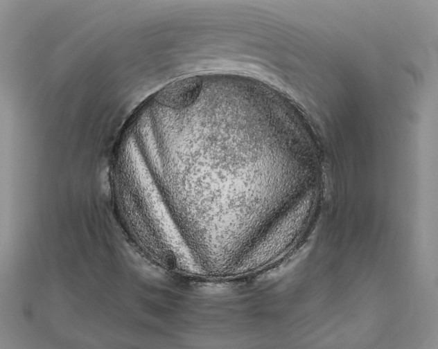 X0000111471497200907271301