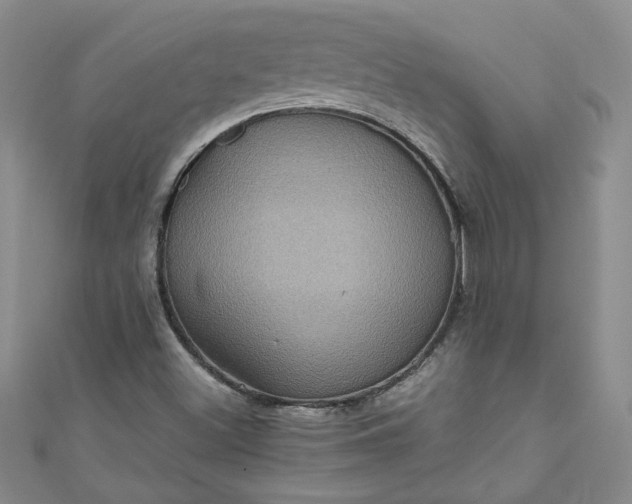 X0000111471500200907271301