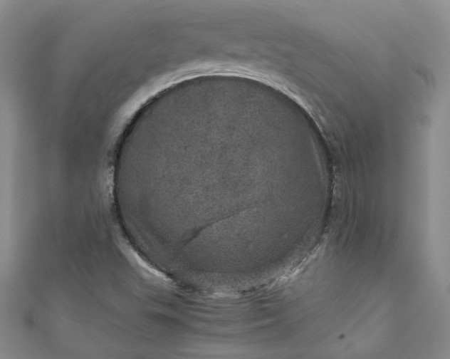 X0000111471503200907271301