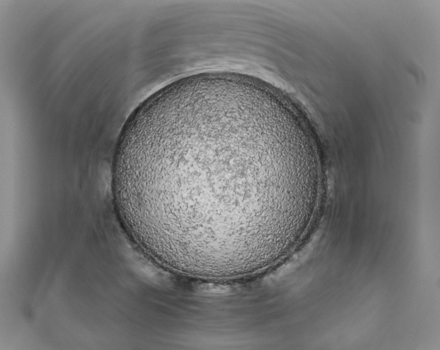 X0000111471505200907271301