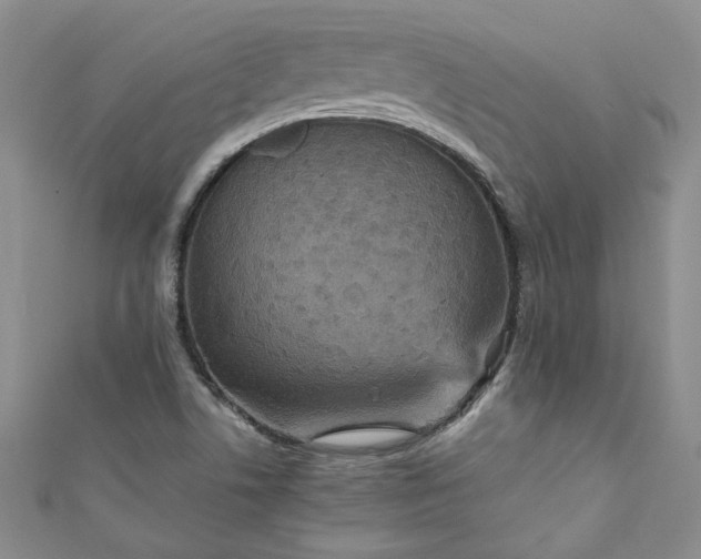 X0000111471506200907271301