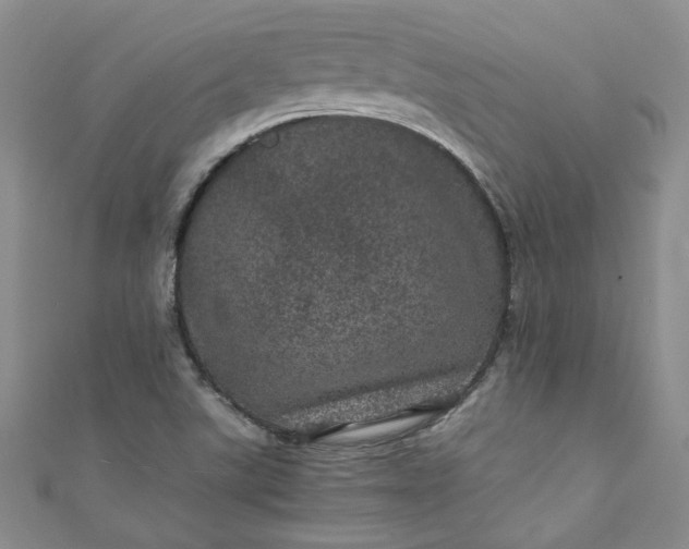 X0000111471507200907271301