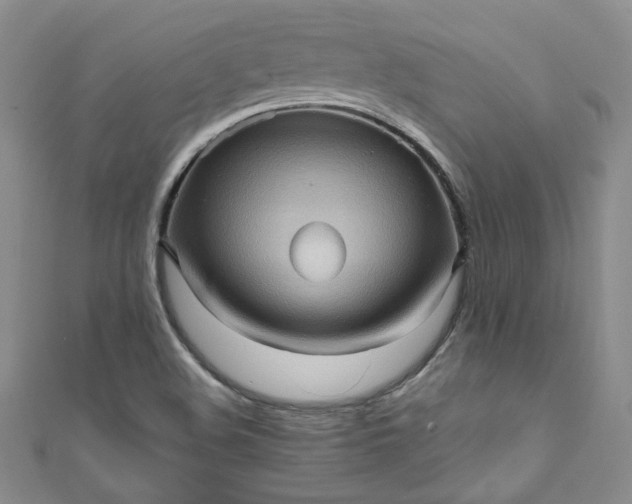 X0000111471508200907271301