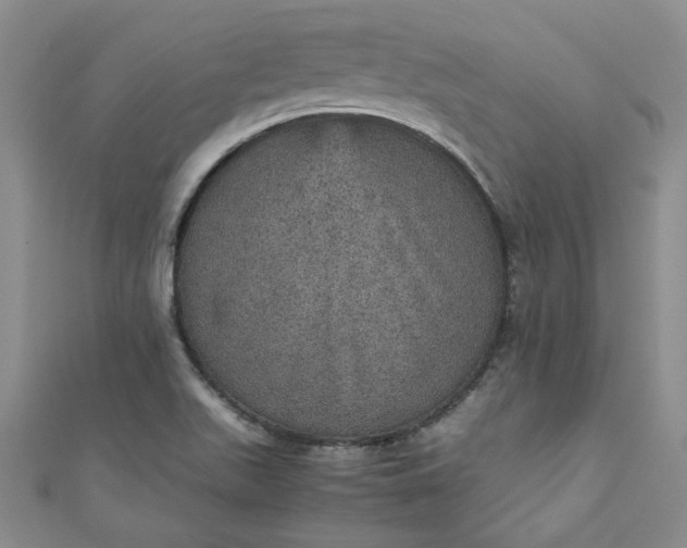 X0000111471511200907271301