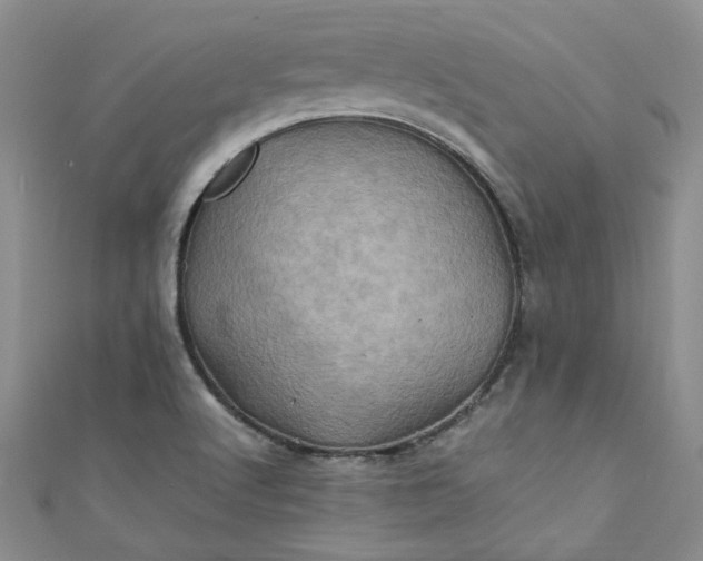 X0000111471512200907271301