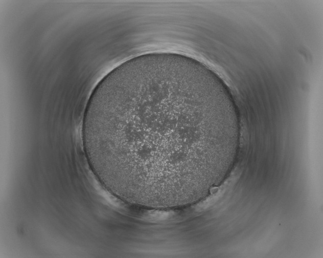 X0000111471513200907271301