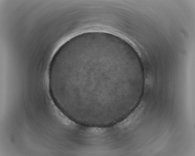 X0000111471514200907271301