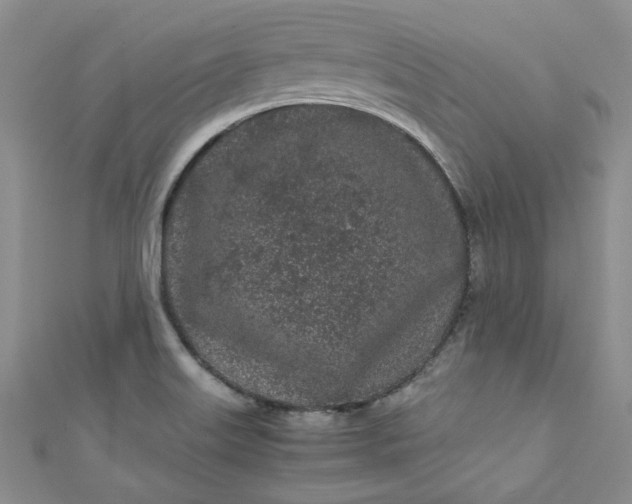 X0000111471515200907271301