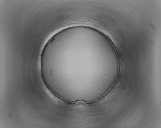 X0000111471516200907271301