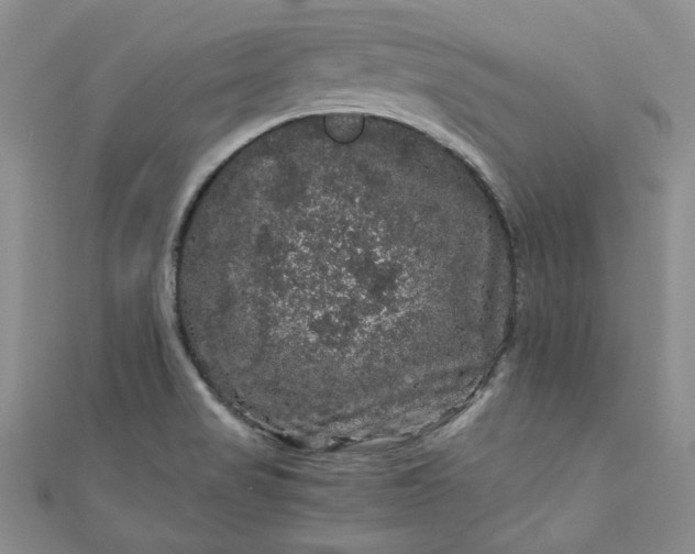 X0000111471517200907271301