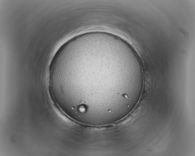 X0000111471519200907271301