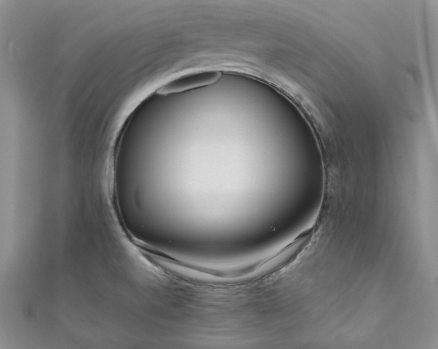 X0000111471520200907271301